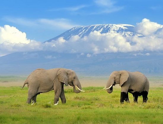 Nyika Discovery - 6 days Mount Kilimanjaro climb Machame route 03