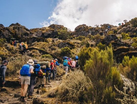 Nyika Discovery - 7 days Mount Kilimanjaro climb via Rongai route 04